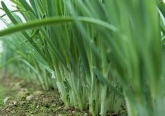 实验室测土与土壤养分检测仪该如何选择?