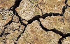 如何选择合适的土壤水分检测设备?