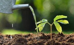 土壤墒情检测仪器操作流程简单易学