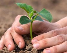 三体仪器土壤养分速测仪检测稳定性强